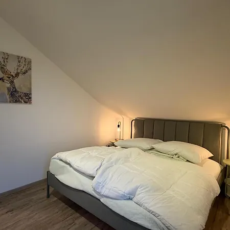 Appartement Perfekt Fuer 2-4! Kueche Garage Flughafen Nespresso *